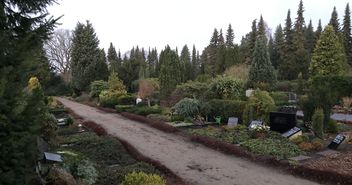 gutgepflegter Friedhof mit Blumen und Bäumen - Copyright: Sina Glinka