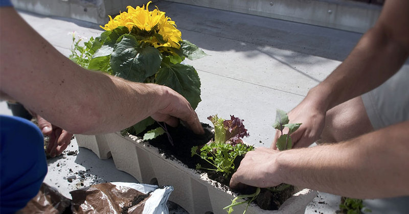 Arbeiten im Garten, Urban Gardening