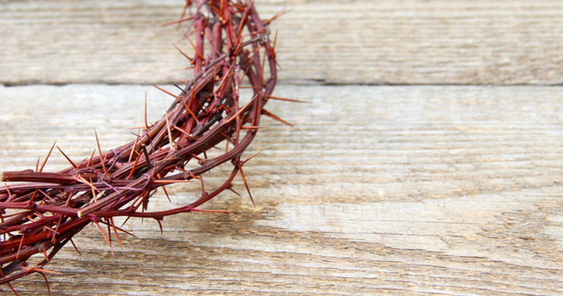 Kreuz und Dornen symbolisieren das Leid Jesu und der Menschen